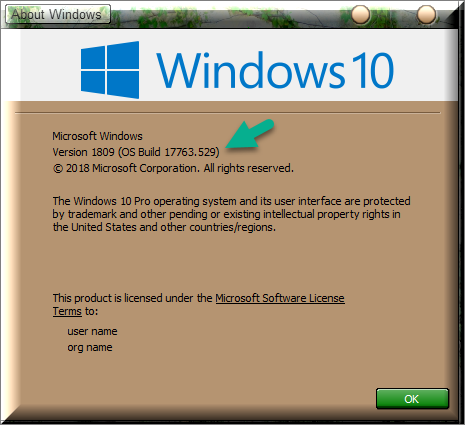 Cumulative Update KB4497934 Windows 10 v1809 Build 17763.529 - May 21-winver-after-installing-kb4497934.png