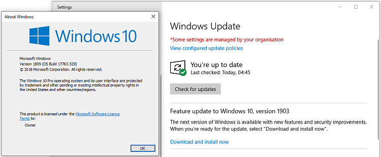 Cumulative Update KB4497934 Windows 10 v1809 Build 17763.529 - May 21-download-install-now-1809.png