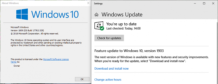 How to get the Windows 10 May 2019 Update version 1903-1809-home-features-update-1903-available.png
