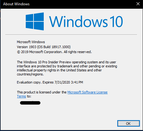 New Windows 10 Insider Preview Fast+Skip Build 18917 (20H1) - June 12-winver.png