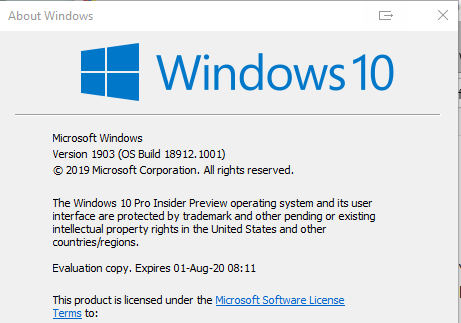 New Windows 10 Insider Preview Fast+Skip Build 18917 (20H1) - June 12-image.png