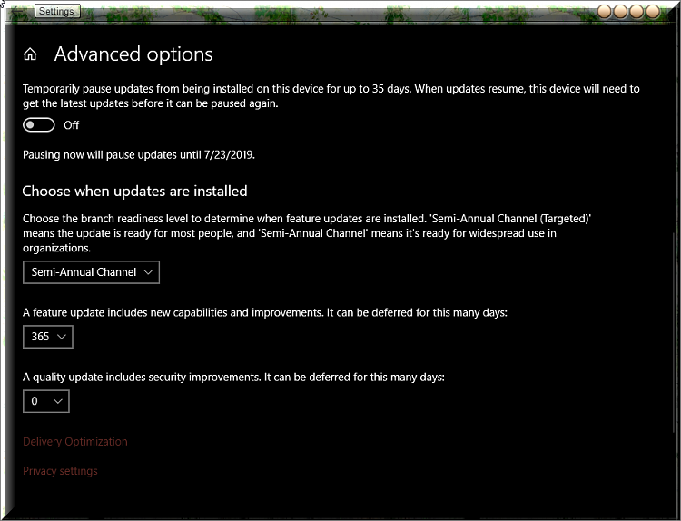How to get the Windows 10 May 2019 Update version 1903-advanced-options-windows-update-1809.png