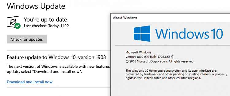 Cumulative Update KB4501371 Windows 10 v1809 Build 17763.592 - June 18-1809-home-1903-update-wu.png