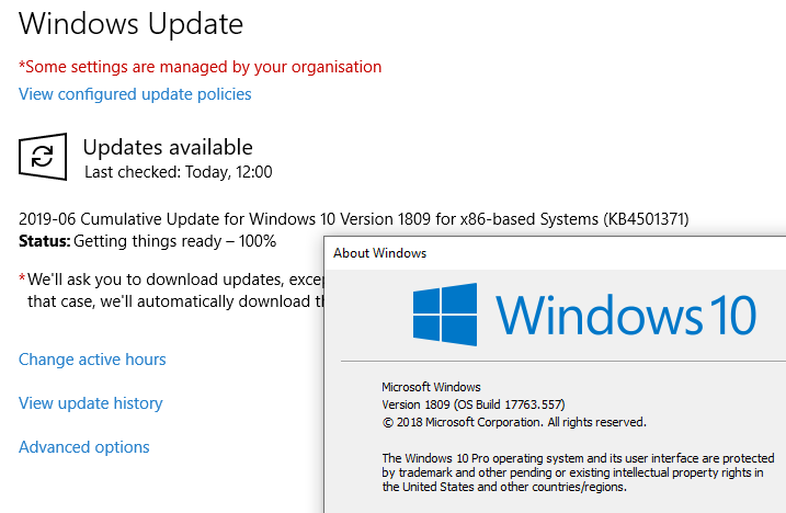 Cumulative Update KB4501371 Windows 10 v1809 Build 17763.592 - June 18-1809-showing-kb4501371.png