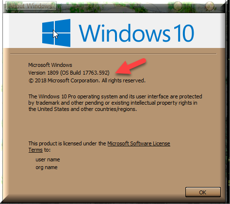Cumulative Update KB4501371 Windows 10 v1809 Build 17763.592 - June 18-winver-after-installing-kb4501371.png