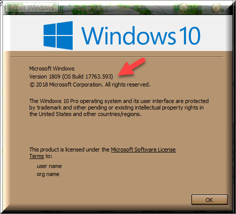 Cumulative Update KB4509479 Windows 10 v1809 Build 17763.593 - June 26-winver-after-installing-kb4509479.png