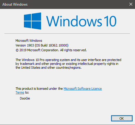 New Windows 10 Insider Preview Slow Build 18362.10000 (19H2) - July 1-next2.png