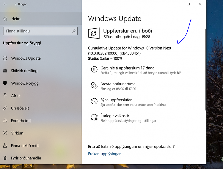 New Windows 10 Insider Preview Slow Build 18362.10000 (19H2) - July 1-wnext.png