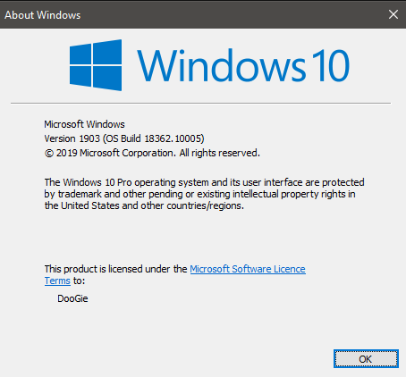 New Windows 10 Insider Preview Slow Build 18362.10005 (19H2) - July 15-10005.png