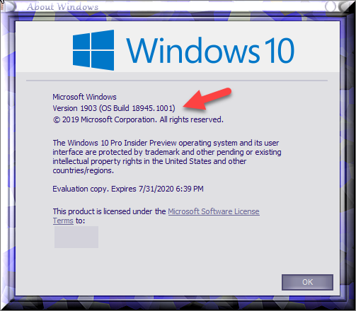 New Windows 10 Insider Preview Fast+Skip Build 18945 (20H1) - July 26-insiders-version-1903-os-build-18945.1001.png