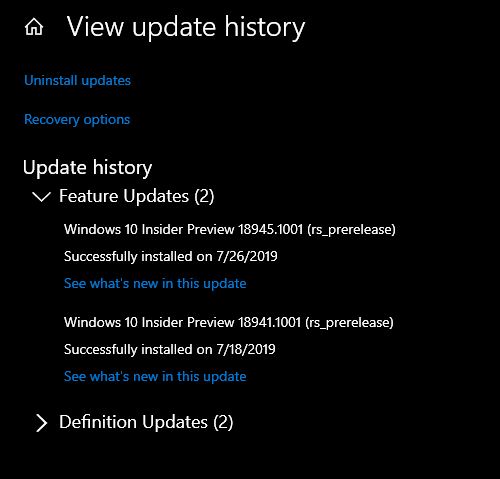 New Windows 10 Insider Preview Fast+Skip Build 18945 (20H1) - July 26-vuh.jpg