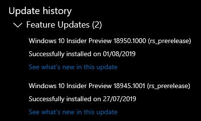 New Windows 10 Insider Preview Fast+Skip Build 18950 (20H1) - July 31-crap.jpg