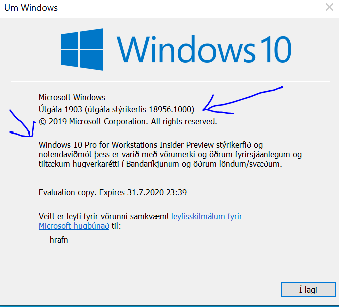 New Windows 10 Insider Preview Fast+Skip Build 18956 (20H1) - August 7-snapshot2.png