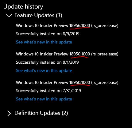 New Windows 10 Insider Preview Fast+Skip Build 18956 (20H1) - August 7-vuh.jpg