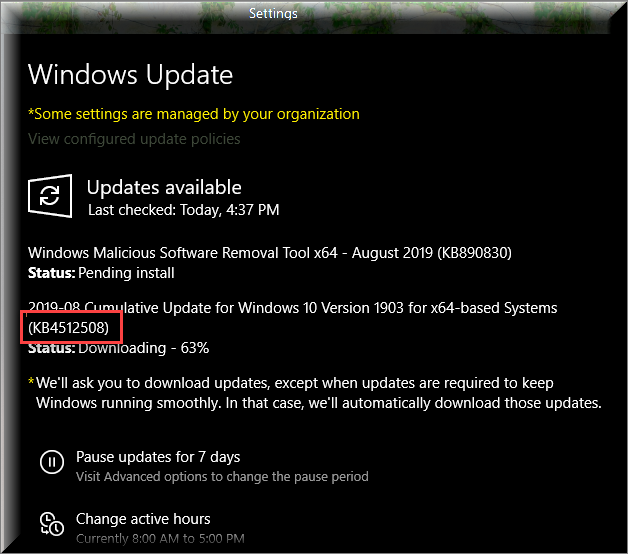 Cumulative Update KB4512508 Windows 10 v1903 build 18362.295 - Aug. 13-installing-kb4512508.png