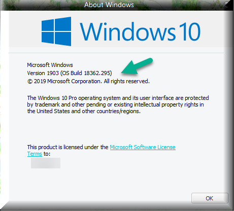Cumulative Update KB4512508 Windows 10 v1903 build 18362.295 - Aug. 13-winver-after-installing-kb4512508.png