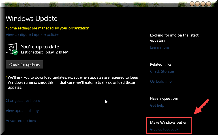 Cumulative Update KB4512508 Windows 10 v1903 build 18362.295 - Aug. 13-give-us-feedback.png