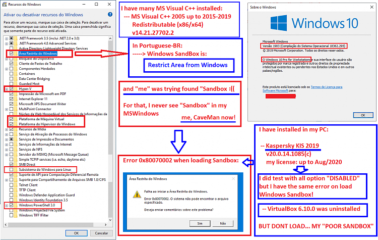 Cumulative Update KB4512508 Windows 10 v1903 build 18362.295 - Aug. 13-my_add_features_windows_1903.png