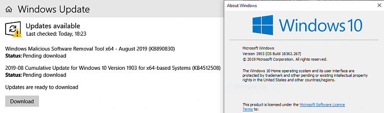 Cumulative Update KB4512508 Windows 10 v1903 build 18362.295 - Aug. 13-image.png