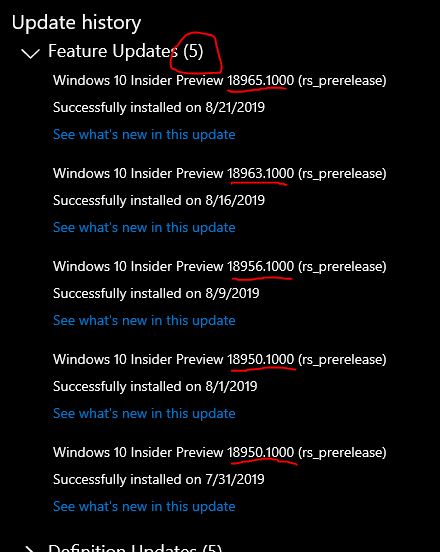 New Windows 10 Insider Preview Fast+Skip Build 18965 (20H1) - Aug. 21-uh.jpg