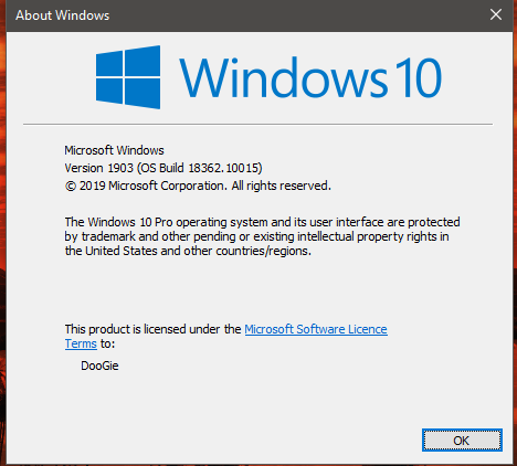 Windows 10 Insider Preview Slow Build 18362.10014 &amp; 18362.10015 (19H2)-winver.png