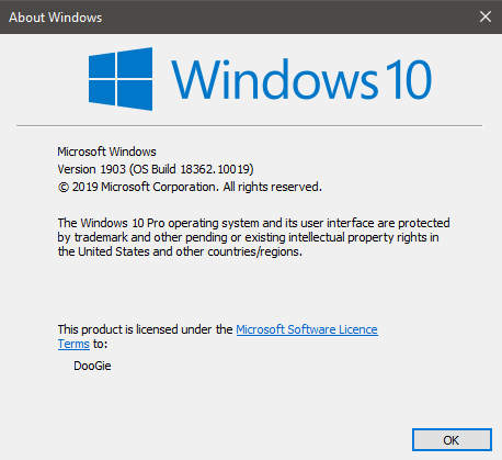 New Windows 10 Insider Preview Slow Build 18362.10019 (19H2) - Sept. 5-19.png