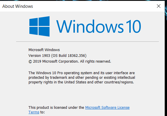 Cumulative Update KB4515384 Windows 10 v1903 build 18362.356 Sept. 10-image.png