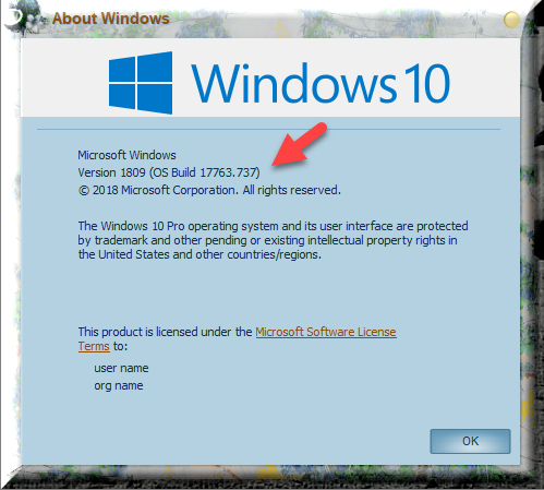 Cumulative Update KB4512578 Windows 10 v1809 Build 17763.737 - Sept.10-winver-after-installing-kb4512578.png
