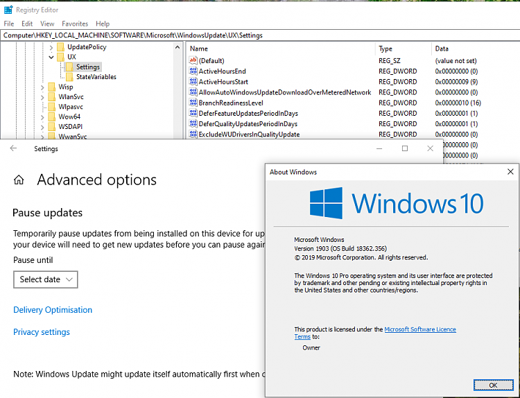Cumulative Update KB4515384 Windows 10 v1903 build 18362.356 Sept. 10-1903-defer-missing.png