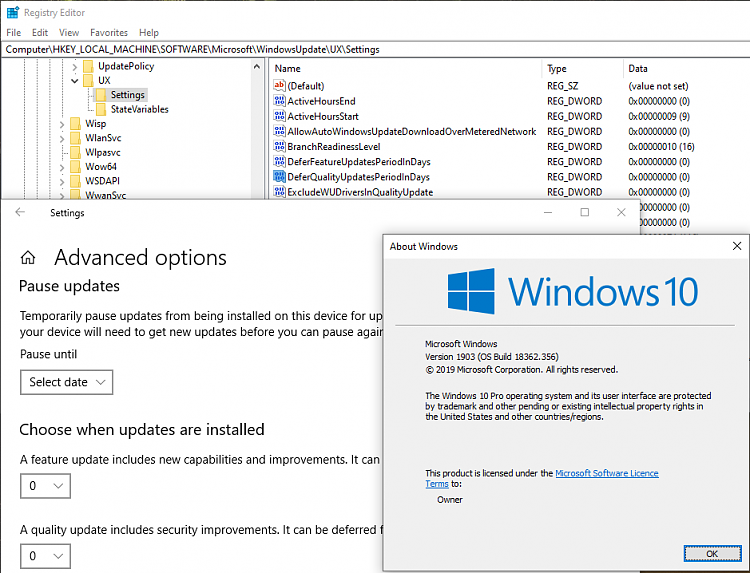 Cumulative Update KB4515384 Windows 10 v1903 build 18362.356 Sept. 10-1903-defer-visible.png