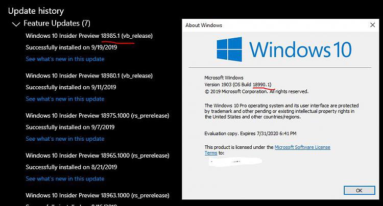 New Windows 10 Insider Preview Fast+Skip Build 18990 (20H1) - Sept. 24-90.jpg