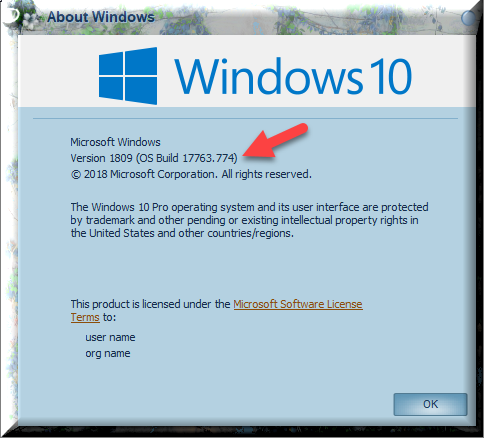 Cumulative Update KB4516077 Windows 10 v1809 Build 17763.774 - Sept.24-winver-after-installing-kb4516077.png