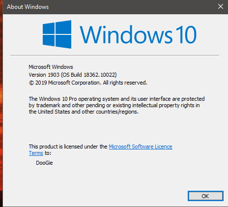 New Windows 10 Insider Preview Slow Build 18362.10022 (19H2) - Sept.25-22.png
