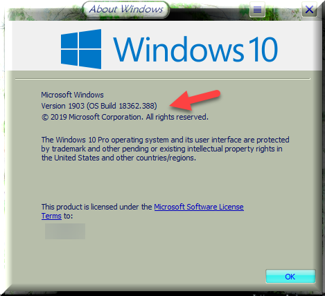 Cumulative Update KB4524147 Windows 10 v1903 build 18362.388 - Oct. 3-winver-after-installing-kb4524147.png