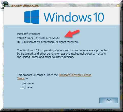 Cumulative Update KB4519338 Windows 10 v1809 Build 17763.805 - Oct. 8-winver-after-installing-kb4519338.png