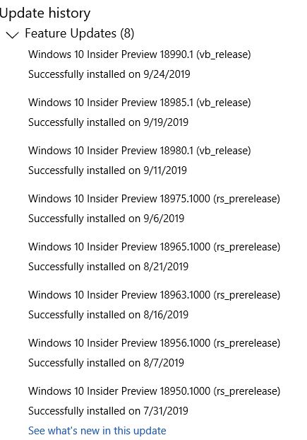 New Windows 10 Insider Preview Fast+Skip Build 18999 (20H1) - Oct. 8-updatehistory10819.jpg