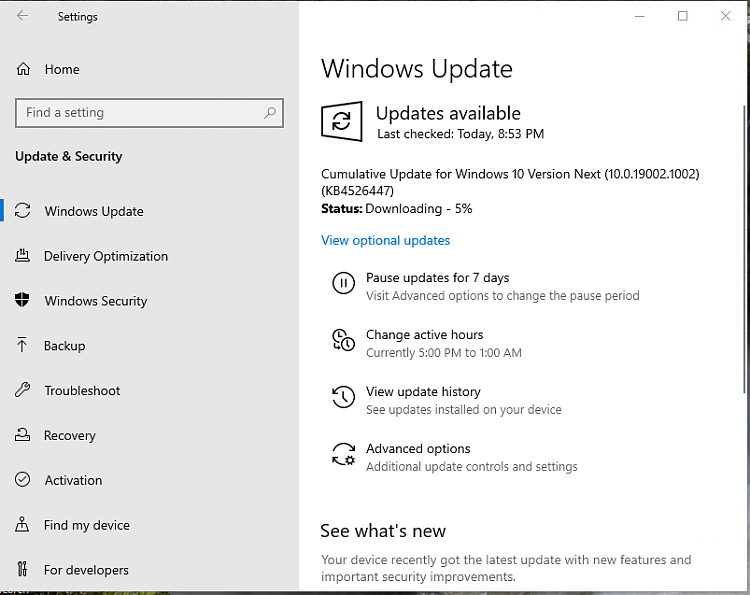Cumulative Update KB4526447 Windows 10 v1903 build 19002.1002 Oct. 18-image.png