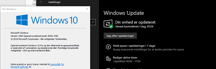 KB4522355 Windows 10 Build 18362.449 19H1 and 18363.449 19H2 - Oct. 23-winver.png