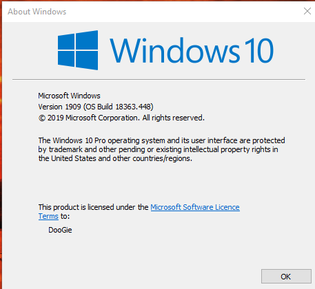 New Windows 10 Insider Preview Slow Build 18362.10024 (19H2) - Oct. 16-448.png