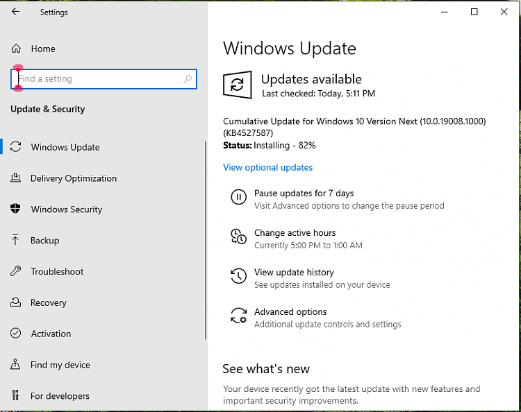 Cumulative Update KB4527587 Windows 10 v1903 build 19008.1000 Oct. 24-image.png