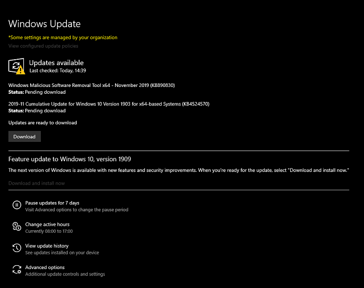 How to get the Windows 10 November 2019 Update version 1909-1909-update.png