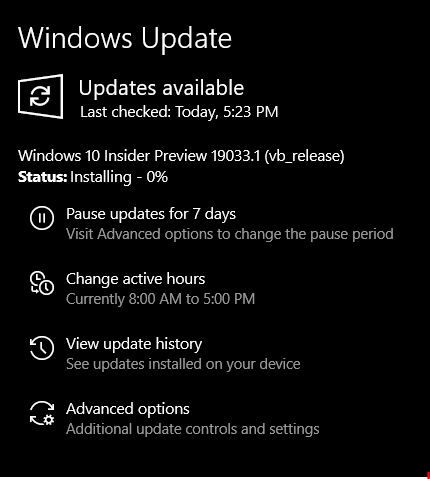 Windows 10 Insider Preview Fast+Slow Build 19033 (20H1) - November 26-installing.png