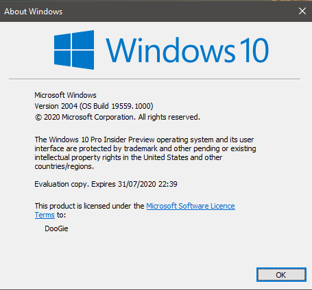 Windows 10 Insider Preview Fast Build 19559.1000 - February 5-19559.png