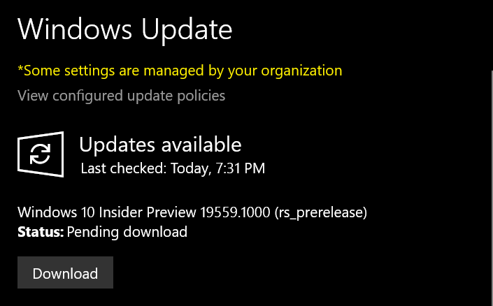 Windows 10 Insider Preview Fast Build 19559.1000 - February 5-image.png