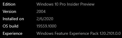 Windows 10 Insider Preview Fast Build 19559.1000 - February 5-wu.jpg