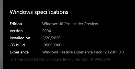 Windows 10 Insider Preview Fast Build 19569.1000 - February 20-image.png