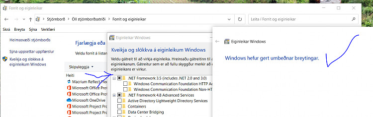 Windows 10 Insider Preview Fast Build 19569.1000 - February 20-net35.png