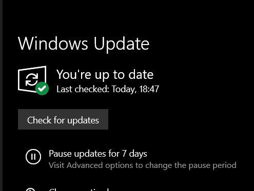 How to get the Windows 10 May 2020 Update version 2004-screenshot_3.png