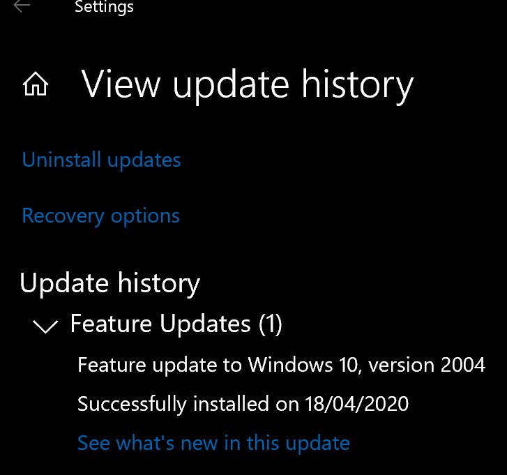 How to get the Windows 10 May 2020 Update version 2004-2004.jpg