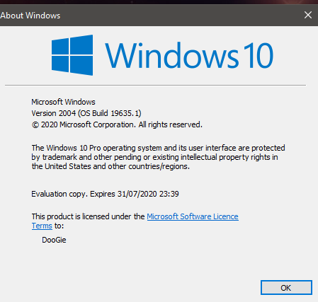 Windows 10 Insider Preview Fast Build 19635.1 (mn_release) - May 28-35.png